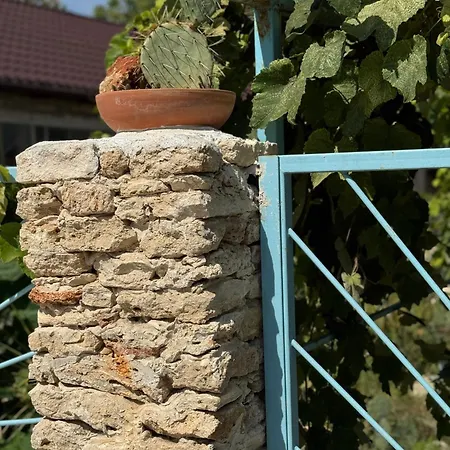 Casuta Cu Cactusi Πανσιόν