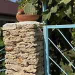 Casuta Cu Cactusi بيت ضيافة