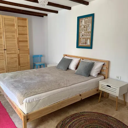 Casuta Cu Cactusi Guest house *