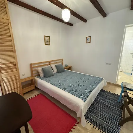 Casuta Cu Cactusi Guest house *