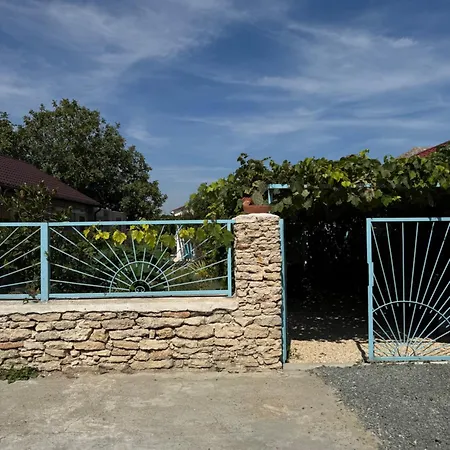 Guest house Casuta Cu Cactusi 2 Mai