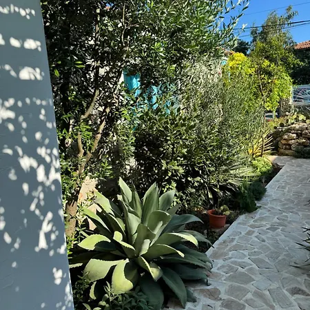 게스트하우스 Casuta Cu Cactusi Două Mai