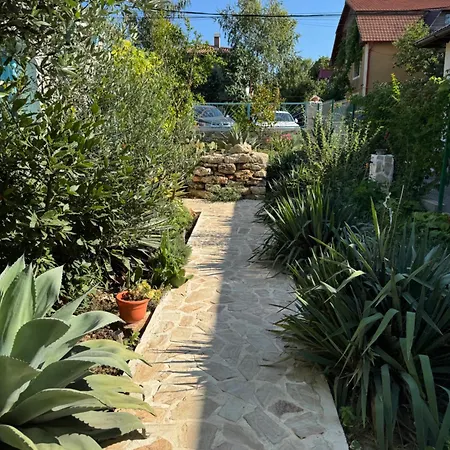 Guest house Casuta Cu Cactusi