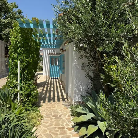 Casuta Cu Cactusi 게스트하우스 Două Mai