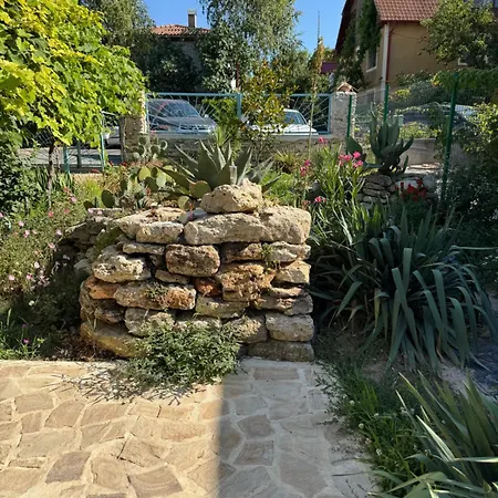 Casuta Cu Cactusi 게스트하우스