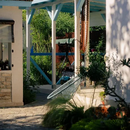 Guest house Casuta Cu Cactusi *