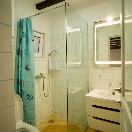 Guest house Casuta Cu Cactusi