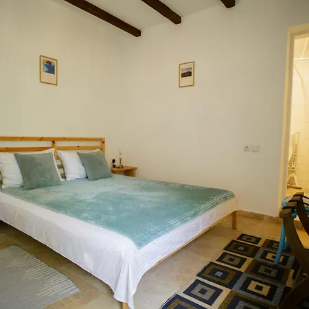 Guest house Casuta Cu Cactusi