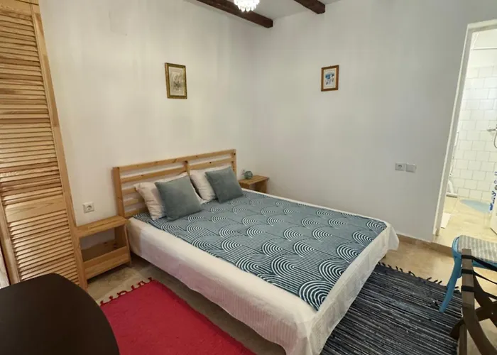 Casuta Cu Cactusi Guest house *