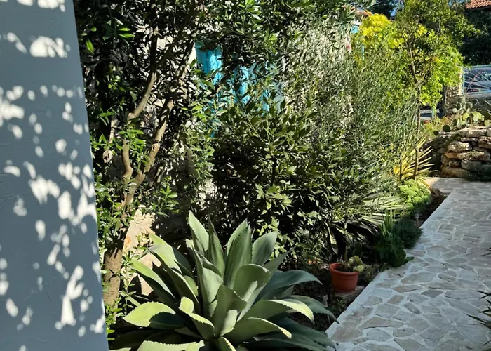 Guest house Casuta Cu Cactusi 2 Mai