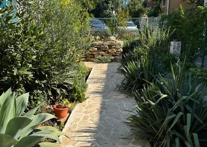 Guest house Casuta Cu Cactusi