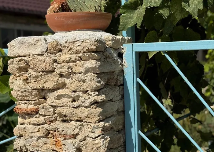 Casuta Cu Cactusi Guest house