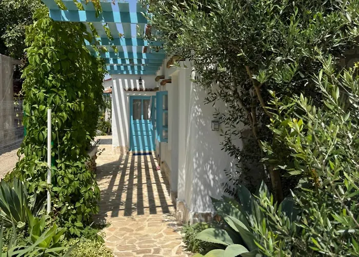 Casuta Cu Cactusi Guest house 2 Mai